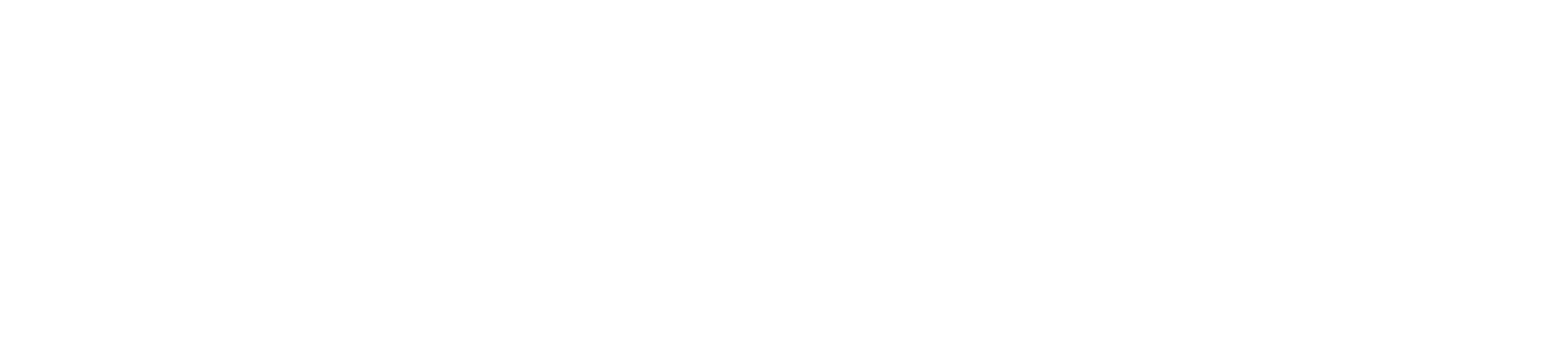 L3 RESeaux logo long blanc
